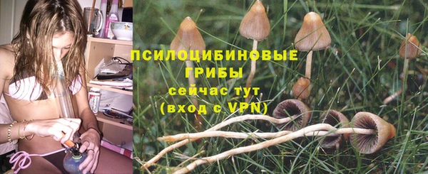 хмурый Алексеевка