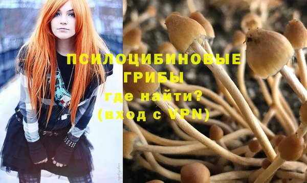 ПСИЛОЦИБИНОВЫЕ ГРИБЫ Алексин