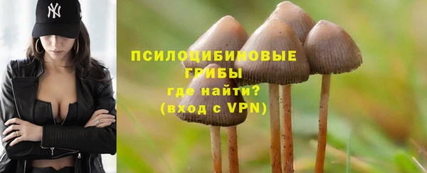 хмурый Алексеевка
