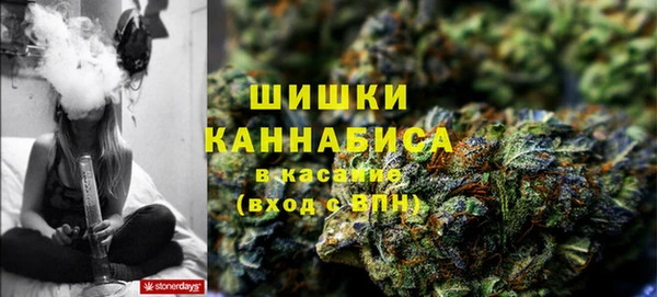 хмурый Алексеевка