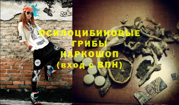 ПСИЛОЦИБИНОВЫЕ ГРИБЫ Алексин