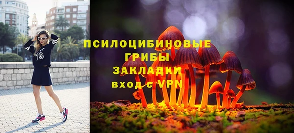 хмурый Алексеевка