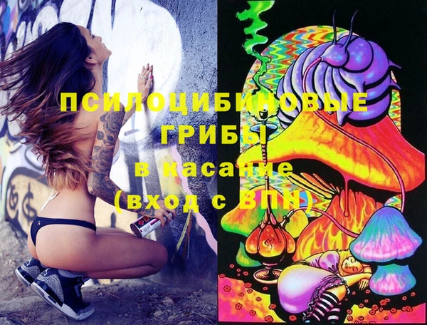 хмурый Алексеевка