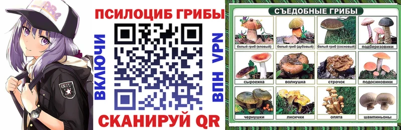 Псилоцибиновые грибы Psilocybe  Долинск 