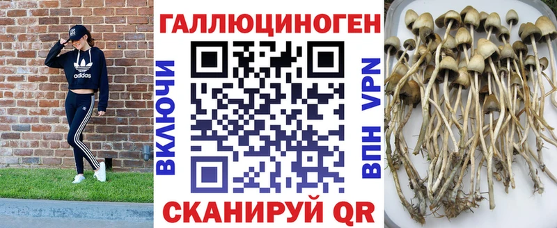 Псилоцибиновые грибы мухоморы Долинск